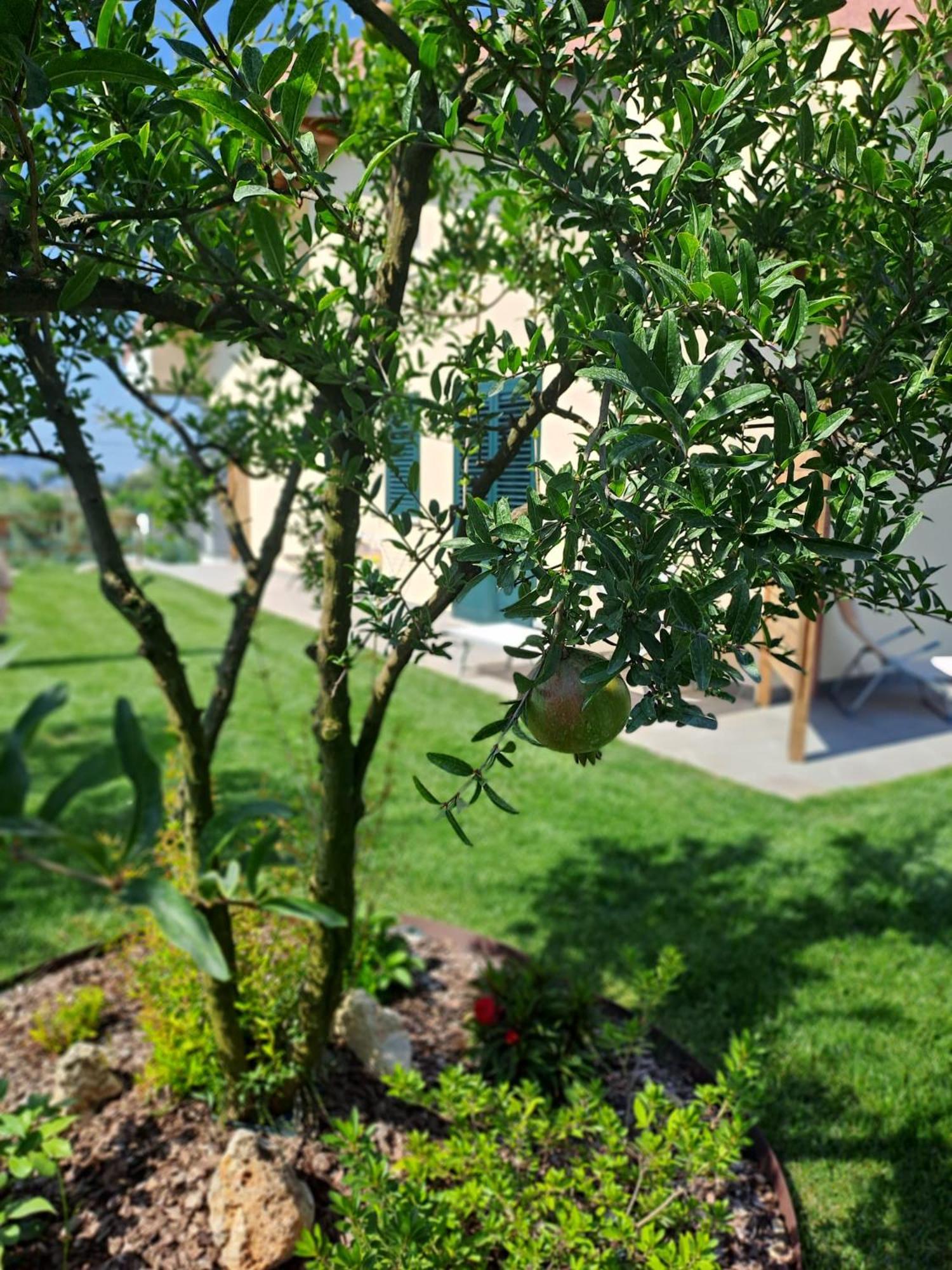 Bed and Breakfast La Campagna Di Peppe E Tullia Формия Экстерьер фото