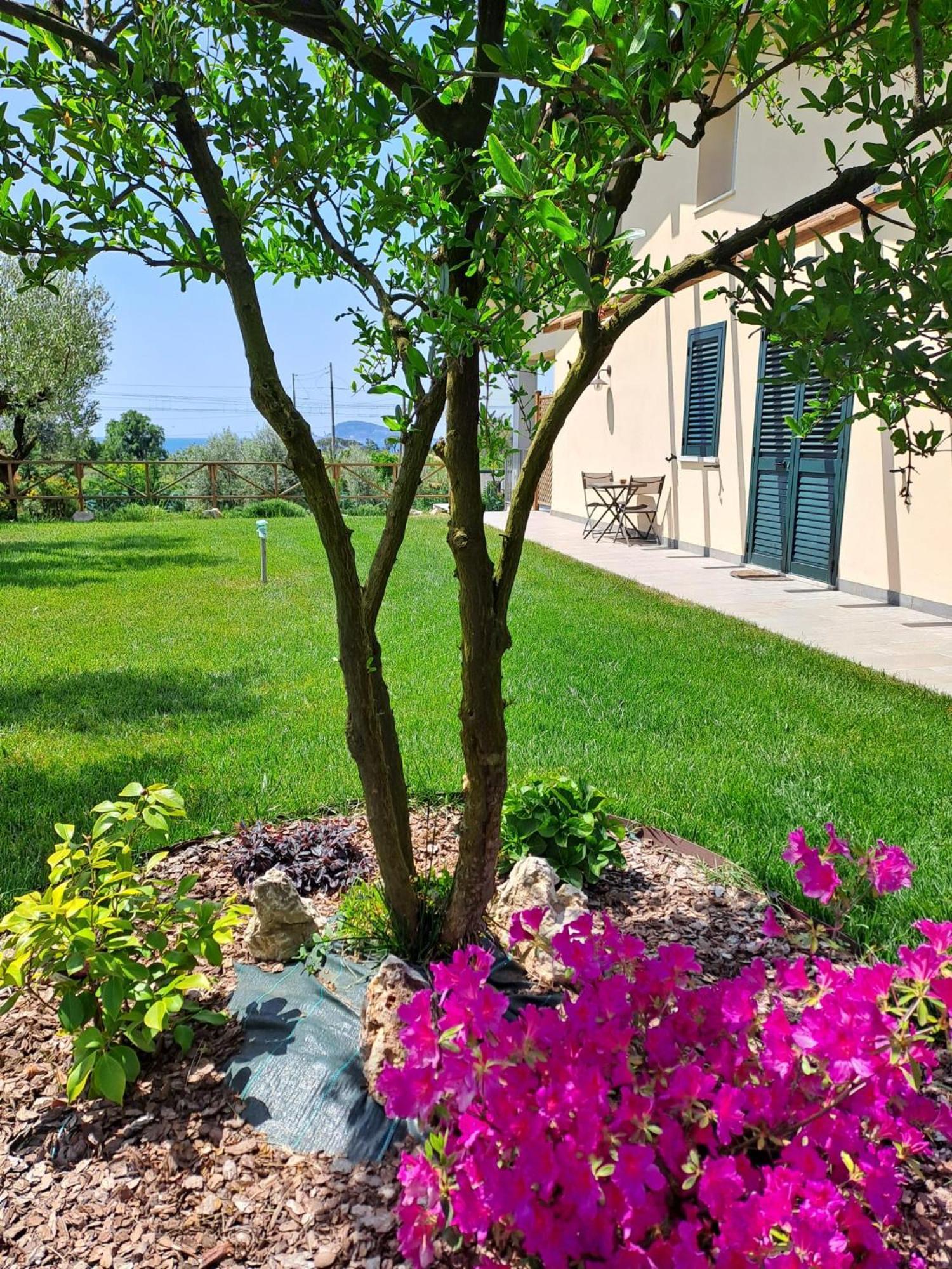 Bed and Breakfast La Campagna Di Peppe E Tullia Формия Экстерьер фото